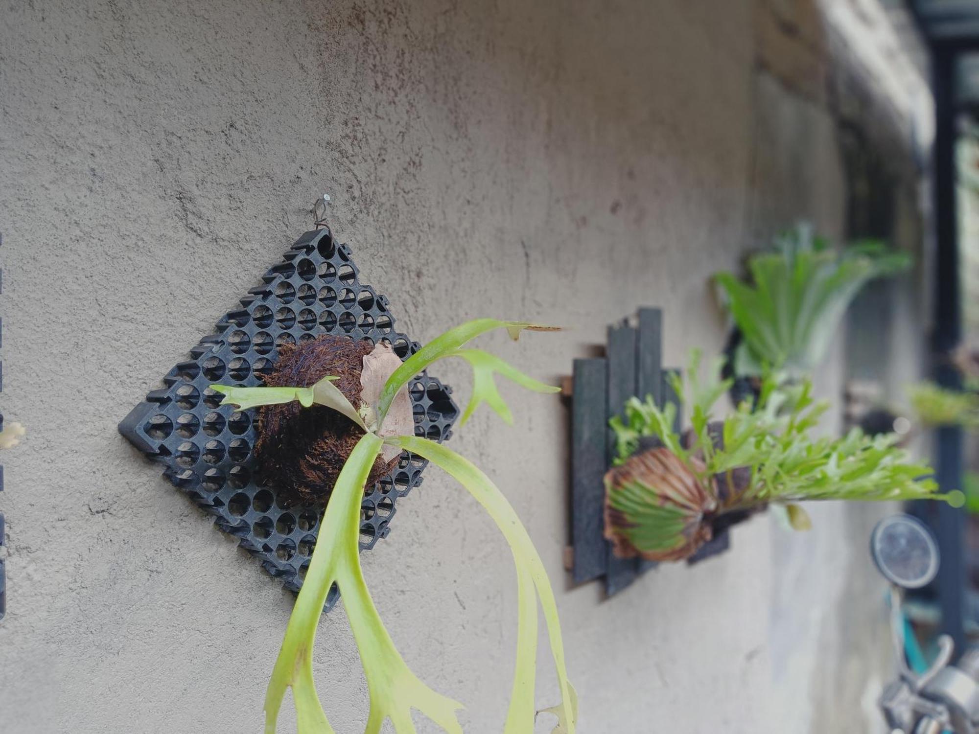Sudana Homestay Ubud Kültér fotó