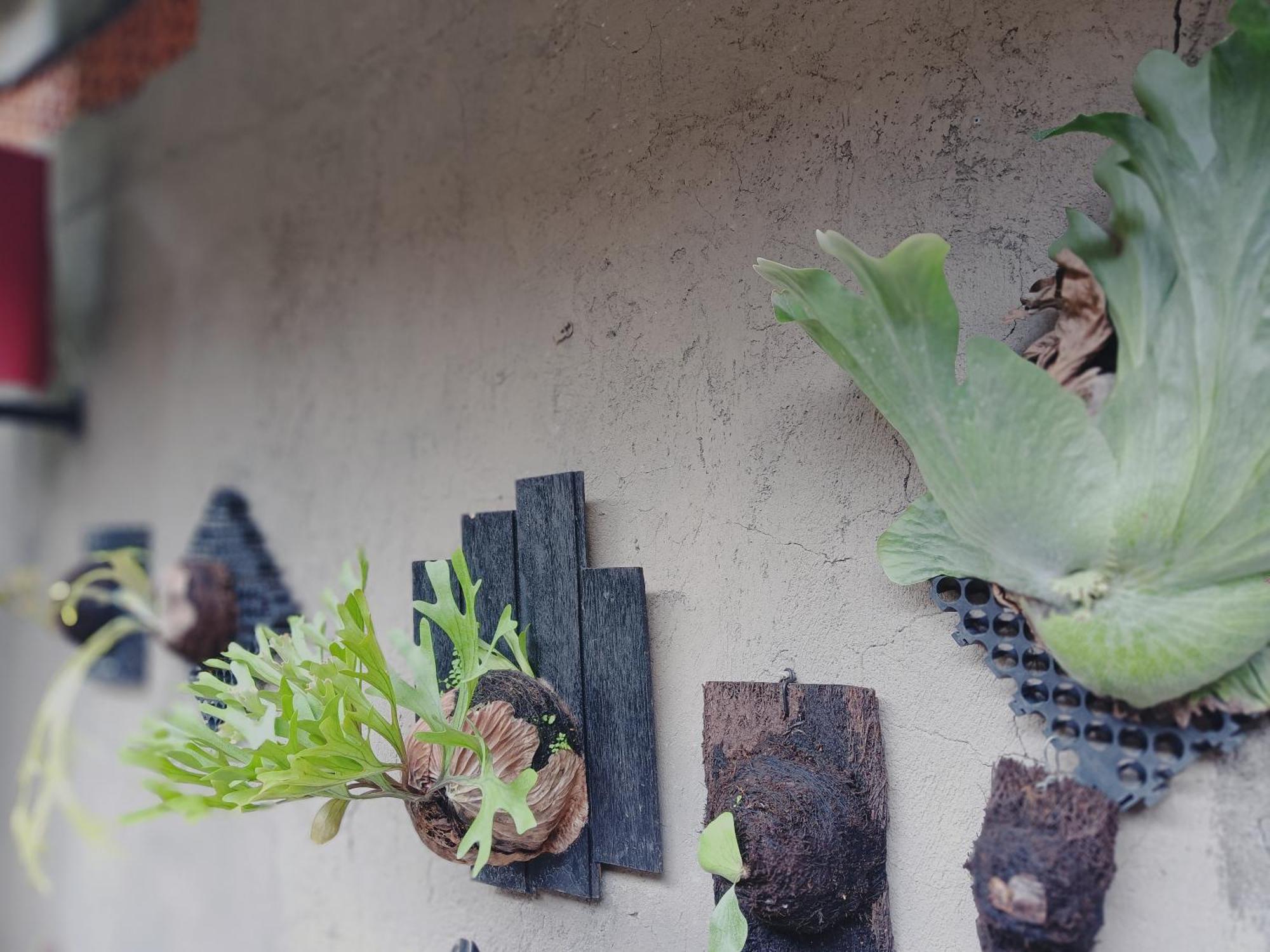 Sudana Homestay Ubud Kültér fotó